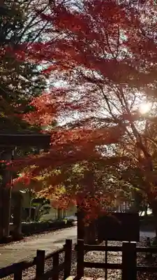 鳥取東照宮(旧樗谿神社)(鳥取県)