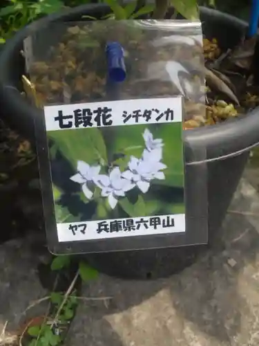 光則寺のその他建物