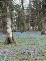 浦臼神社の{uncategorized: "未分類", other: "その他", undefined: "問題あり", building: "その他建物", grave: "お墓", sacred_gate: "鳥居", guardian: "狛犬", statue: "像", buddha: "仏像", history: "歴史", nature: "自然", garden: "庭園", animal: "動物", pagoda: "塔", temizu: "手水舎", mountain_gate: "山門・神門", sanctuary: "本殿・本堂", subordinate: "末社・摂社", art: "芸術", scenery: "景色", jizo: "地蔵", ema: "絵馬", goshuin: "御朱印", omikuji: "おみくじ", items: "授与品その他", amulet: "お守り", goshuincho: "御朱印帳", eats: "食事", festival: "お祭り", votive_dance: "神楽", shichigosan: "七五三参", wedding: "結婚式", experience: "体験その他", initially: "初詣", around: "周辺", anti_infection: "感染症対策"}