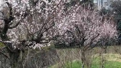  智積院(京都府)