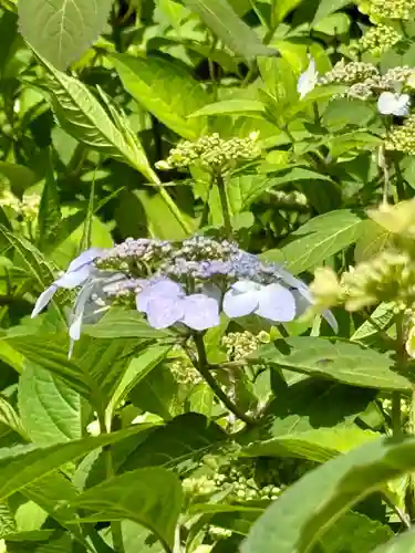 霊源院(京都府)