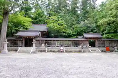 多賀大社の本殿・本堂