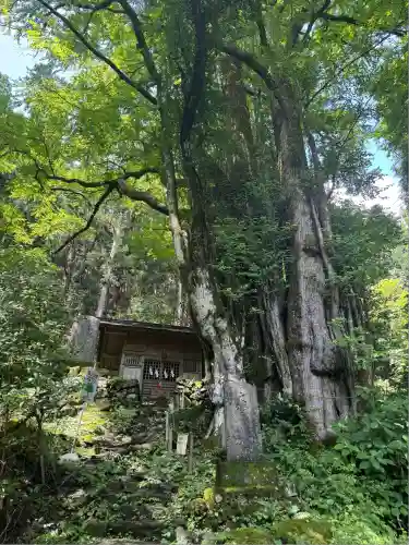 軍刀利神社奥院(山梨県)