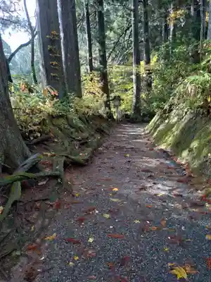 出羽神社(出羽三山神社)～三神合祭殿～(山形県)