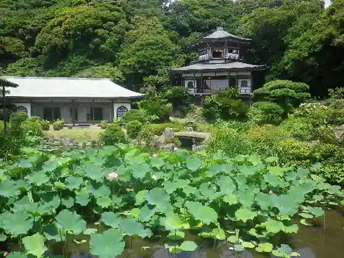 光明寺の庭園