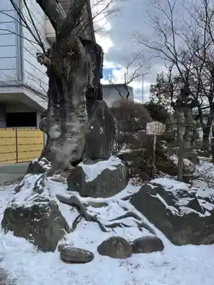 深志神社(長野県)