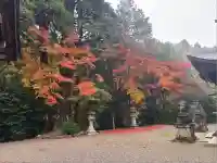 八坂神社・境内社川枯社(滋賀県)