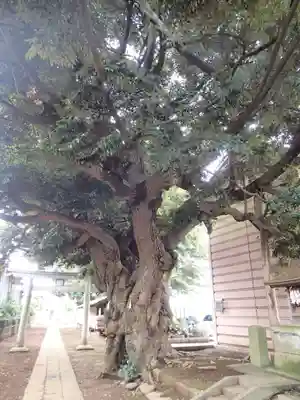 茂侶神社の自然