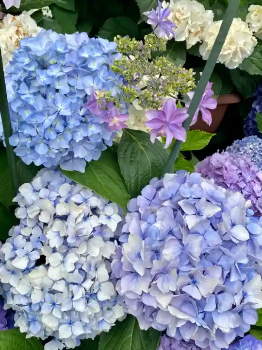 六孫王神社の自然