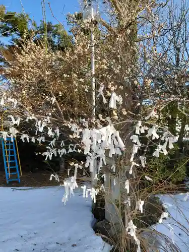 小田井縣神社(兵庫県)
