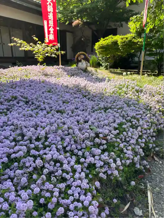 能満寺(神奈川県)