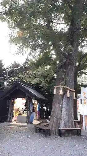 札幌諏訪神社の自然