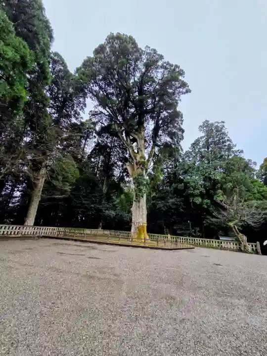霧島神宮(鹿児島県)