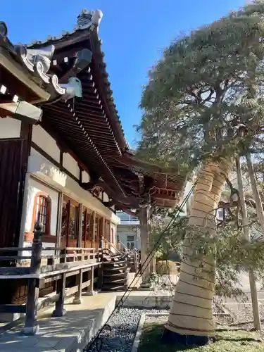 眞福寺(東京都)