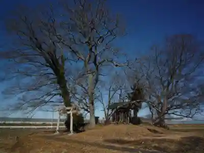 神明神社のその他建物