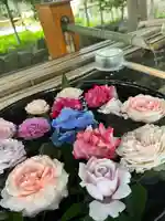 男神社の手水舎