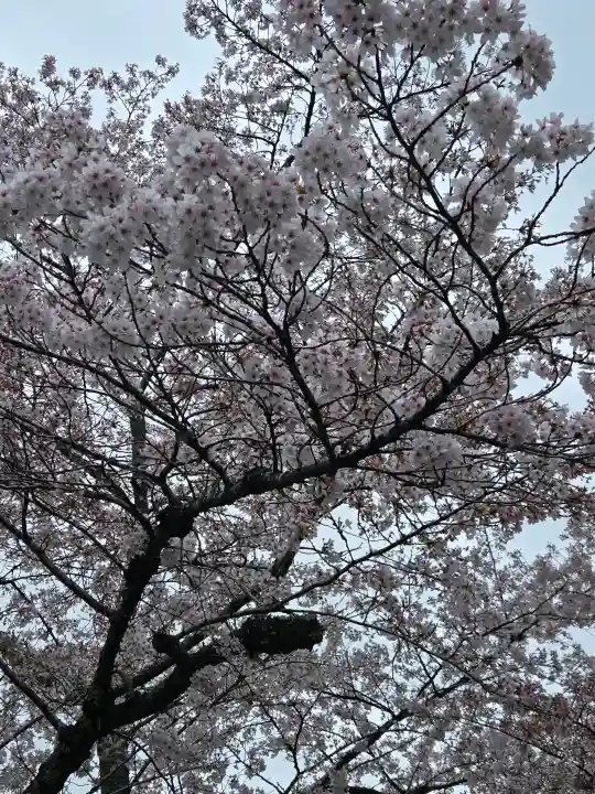 南禅寺の{uncategorized: "未分類", other: "その他", undefined: "問題あり", building: "その他建物", grave: "お墓", sacred_gate: "鳥居", guardian: "狛犬", statue: "像", buddha: "仏像", history: "歴史", nature: "自然", garden: "庭園", animal: "動物", pagoda: "塔", temizu: "手水舎", mountain_gate: "山門・神門", sanctuary: "本殿・本堂", subordinate: "末社・摂社", art: "芸術", scenery: "景色", jizo: "地蔵", ema: "絵馬", goshuin: "御朱印", omikuji: "おみくじ", items: "授与品その他", amulet: "お守り", goshuincho: "御朱印帳", eats: "食事", festival: "お祭り", votive_dance: "神楽", shichigosan: "七五三参", wedding: "結婚式", experience: "体験その他", initially: "初詣", around: "周辺", anti_infection: "感染症対策"}