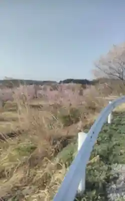 化女沼龍神(宮城県)