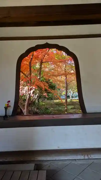 興聖寺(京都府)