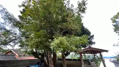 不動寺(和歌山県)