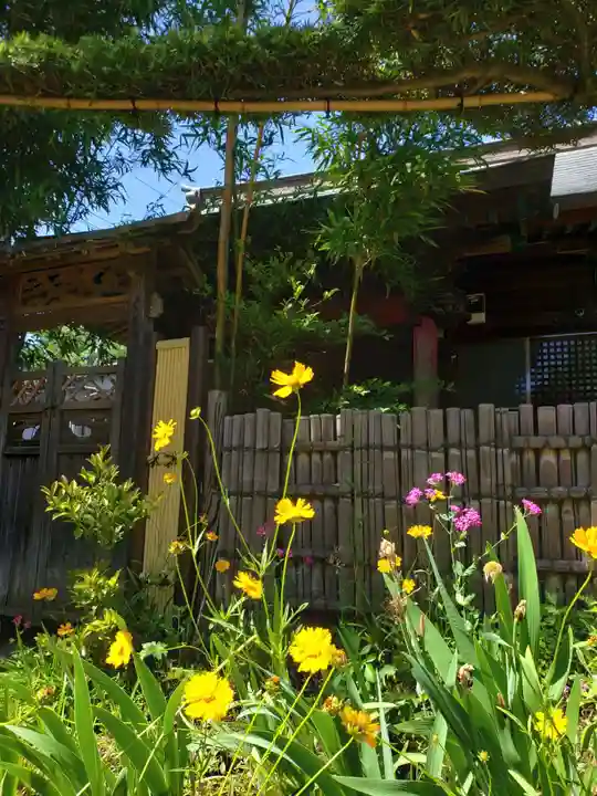 鷺宮八幡神社の自然