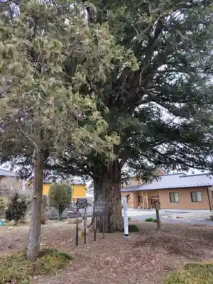 高性寺(栃木県)