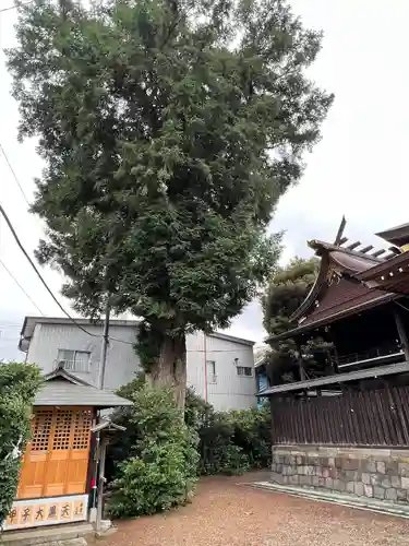 健田須賀神社(茨城県)