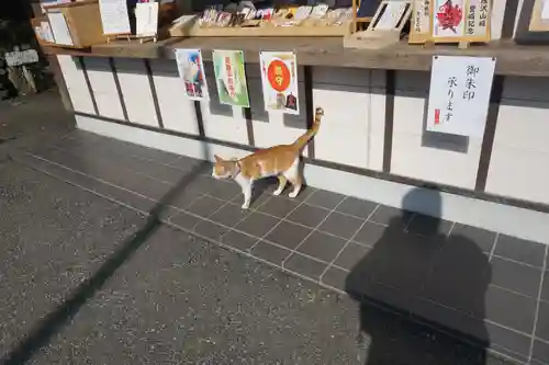 唐澤山神社の動物