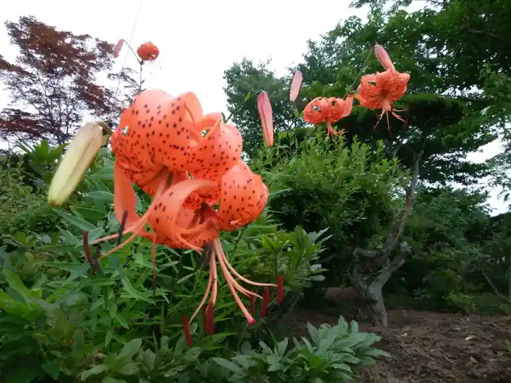 女満別神社の自然