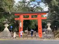 春日大社の{uncategorized: "未分類", other: "その他", undefined: "問題あり", building: "その他建物", grave: "お墓", sacred_gate: "鳥居", guardian: "狛犬", statue: "像", buddha: "仏像", history: "歴史", nature: "自然", garden: "庭園", animal: "動物", pagoda: "塔", temizu: "手水舎", mountain_gate: "山門・神門", sanctuary: "本殿・本堂", subordinate: "末社・摂社", art: "芸術", scenery: "景色", jizo: "地蔵", ema: "絵馬", goshuin: "御朱印", omikuji: "おみくじ", items: "授与品その他", amulet: "お守り", goshuincho: "御朱印帳", eats: "食事", festival: "お祭り", votive_dance: "神楽", shichigosan: "七五三参", wedding: "結婚式", experience: "体験その他", initially: "初詣", around: "周辺", anti_infection: "感染症対策"}