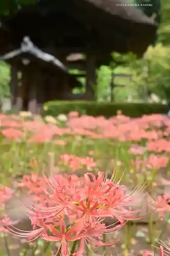 横浜　西方寺(神奈川県)