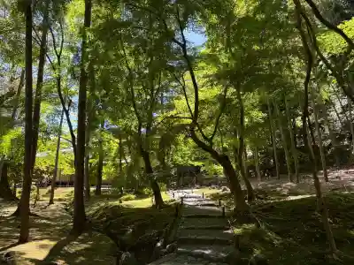 西芳寺の{uncategorized: "未分類", other: "その他", undefined: "問題あり", building: "その他建物", grave: "お墓", sacred_gate: "鳥居", guardian: "狛犬", statue: "像", buddha: "仏像", history: "歴史", nature: "自然", garden: "庭園", animal: "動物", pagoda: "塔", temizu: "手水舎", mountain_gate: "山門・神門", sanctuary: "本殿・本堂", subordinate: "末社・摂社", art: "芸術", scenery: "景色", jizo: "地蔵", ema: "絵馬", goshuin: "御朱印", omikuji: "おみくじ", items: "授与品その他", amulet: "お守り", goshuincho: "御朱印帳", eats: "食事", festival: "お祭り", votive_dance: "神楽", shichigosan: "七五三参", wedding: "結婚式", experience: "体験その他", initially: "初詣", around: "周辺", anti_infection: "感染症対策"}