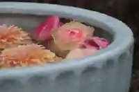 開成山大神宮の手水舎