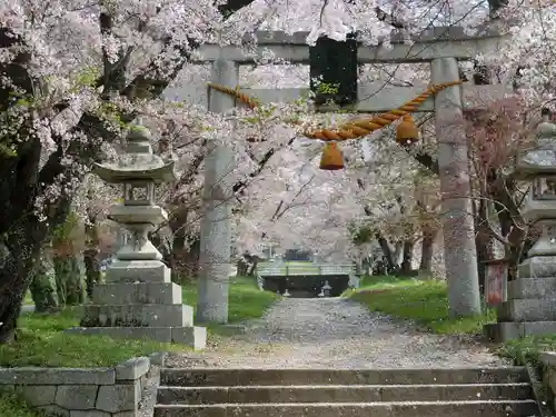 天津神社の鳥居