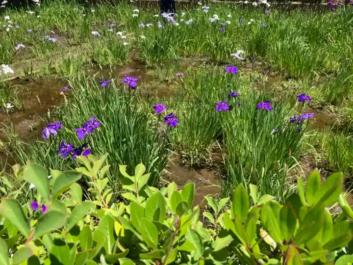 天台宗 長窪山 正覚寺の自然
