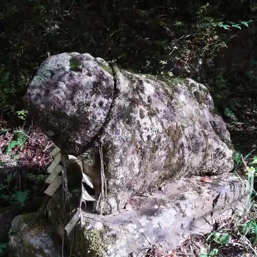 花園神社の狛犬