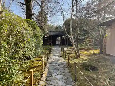 蓮華寺（洛北蓮華寺）の庭園