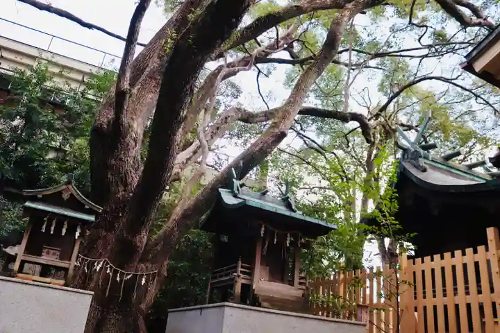 刺田比古神社の自然
