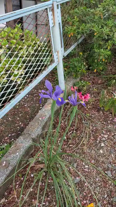 隆善寺(福岡県)