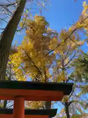 阿部野神社の自然