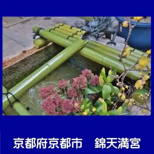 錦天満宮(京都府)