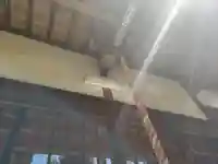 鳥見神社のその他建物