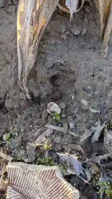 水鶏塚(愛知県)