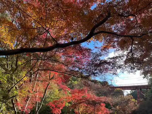 神應寺(京都府)