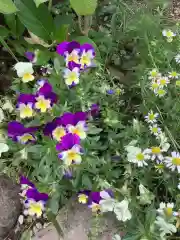 三輪神社の自然