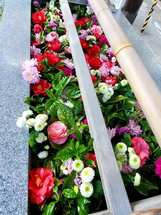 豊景神社の自然