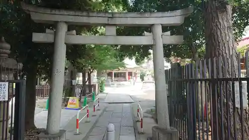荻窪白山神社の鳥居