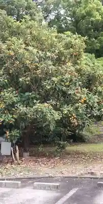 若宮八幡宮(愛知県)