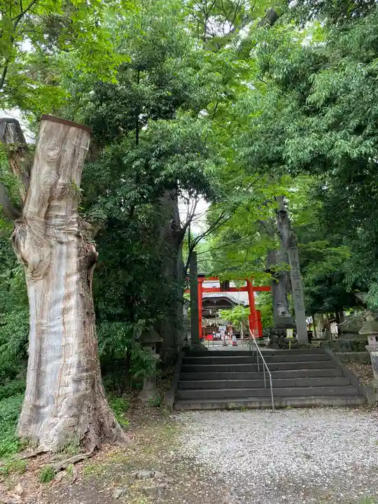 大星神社(長野県)