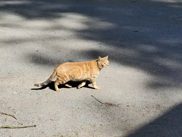 宇都宮神社(下彦間町)(栃木県)